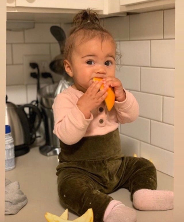 Velvet Baby Pants - organic cotton velvet cuteness for little legs - baby joggers