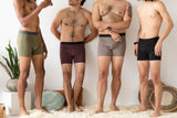 Organic Cotton Boxer Briefs - Single pair of men’s underwear - Natural fiber underwear